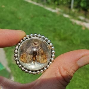 Beautiful Moth Pin / Cameo